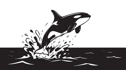 Orca, killer whale, jumping, monochrome vector illustration, black and white © Uttom Kumar