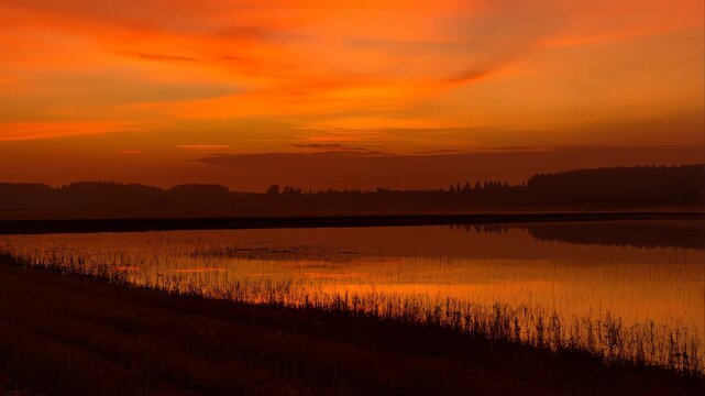 Flooded Farmland Reflecting a Burning Orange Sky at Sunset with Silhouetted Trees and Grass Featuring Reflection, Water, Horizon with Landscape