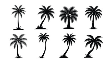 Naklejka premium Set of palm trees in various poses and shapes on white background