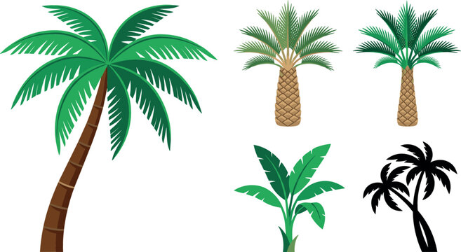 Tropical palm trees and exotic foliage vector cartoon set featuring coconut palms date palm banana plant leaves and black silhouettes isolated on white background
