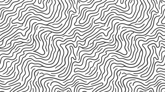 Bold black and white zebra stripe pattern