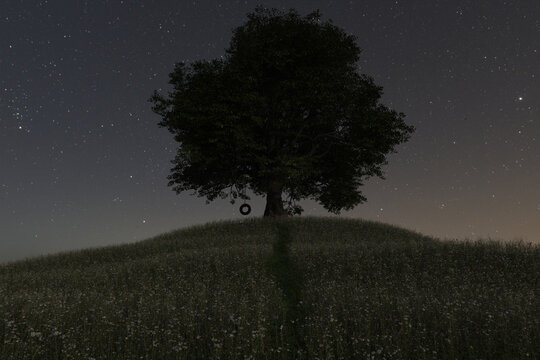 3D Rendering of a single big oak tree standing on a blooming meadow next to a tire swing at night