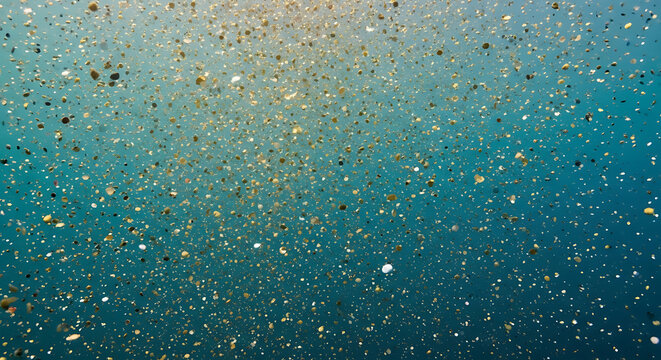 Sparkling plankton bioluminescence in ocean water