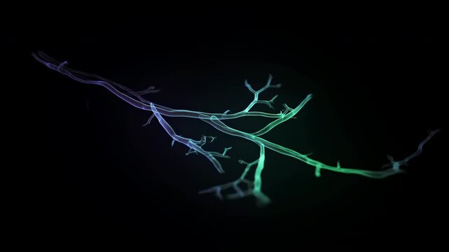 Translucent luminous ribbons uncoiling through dark gradient space with branching tendrils, soft glow, fluid curves, and elegant diagonal movement, with ribbon, translucent, organic, sinuous detail