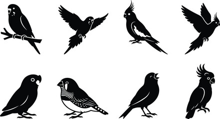 Set of pet bird silhouette icons featuring parrots, cockatiels, finches, and exotic avian species © MstLata