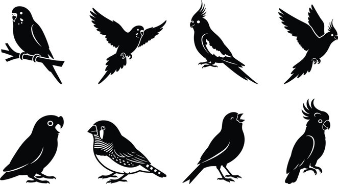 Set of pet bird silhouette icons featuring parrots, cockatiels, finches, and exotic avian species