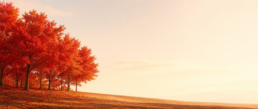 Autumn landscape with vibrant red maple trees on a hill, scenic fall foliage under a warm sunset sky, peaceful nature background with copy space