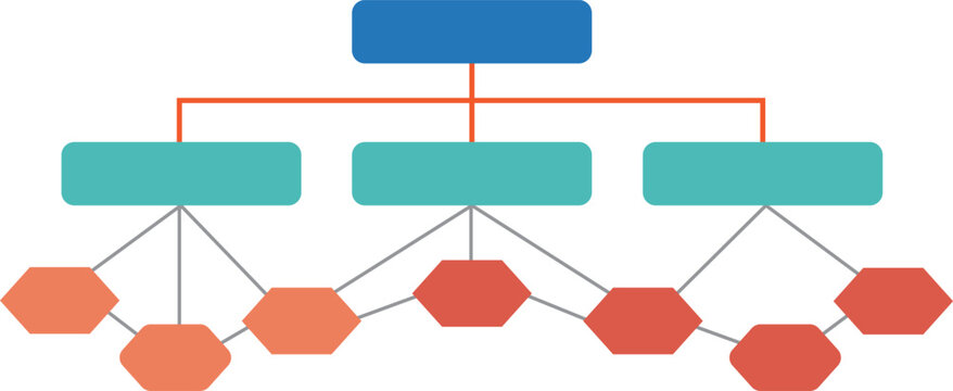 Organizational chart hierarchy diagram template colorful hexagon shapes structure business management concept blank illustration