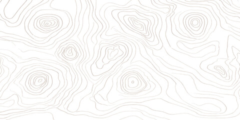Detailed topographic map lines background pattern with topography elevation geography cartography abstract background geological landscape navigation minimalist geometric technical © MOHAMAD
