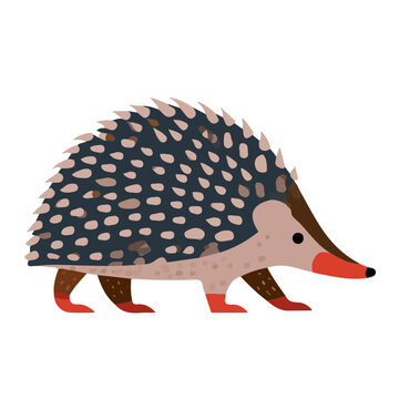 Hedgehog Tenrec, clean flat 2D illustration with a minimal style, isolated on a white background.