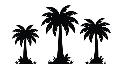 Three black palm trees with leaves on white background  tropical plants © Sirin