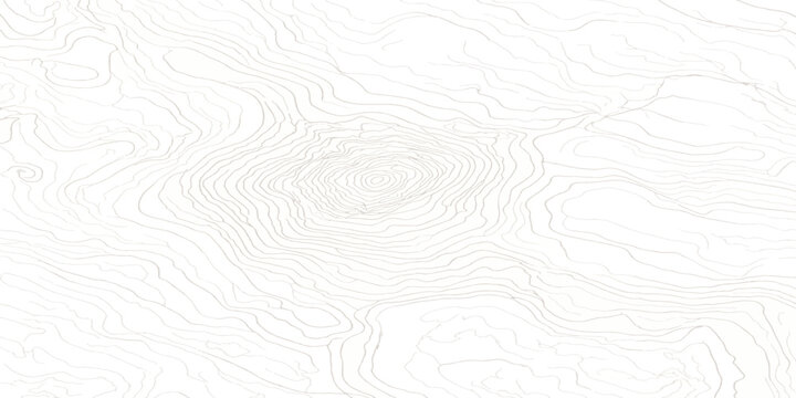 Topographic map lines abstract pattern white background with topography elevation cartography geography abstract landscape geometric minimalist topographic navigation technical illustration