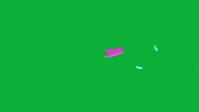 Beautiful colorful butterflies flying and fluttering across green screen background chroma key loop