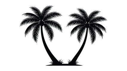 Two palm trees with trunks and leaves on white background © Sirin