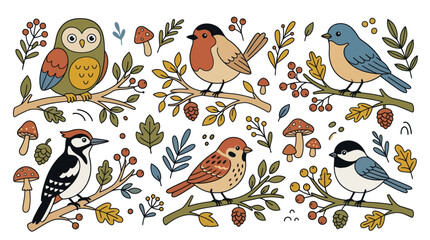 Colorful woodland birds perched on tree branches set. © Hana
