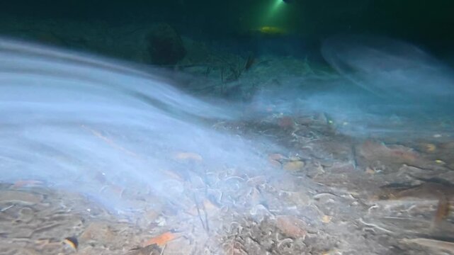 Mystical halocline phenomenon forming a dense, cloudy layer between fresh and salt water in a cave