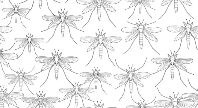 Detailed scientific style seamless pattern of hand-drawn mosquitoes in detailed line art on clean white background.