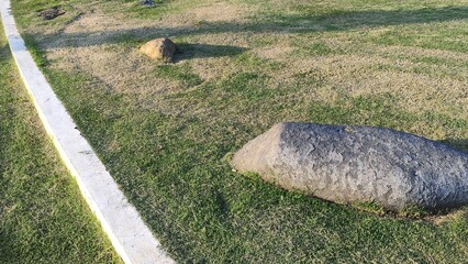 Natural stone boulders placed on a neatly maintained green lawn in an urban park during warm afternoon sunlight. © Nom