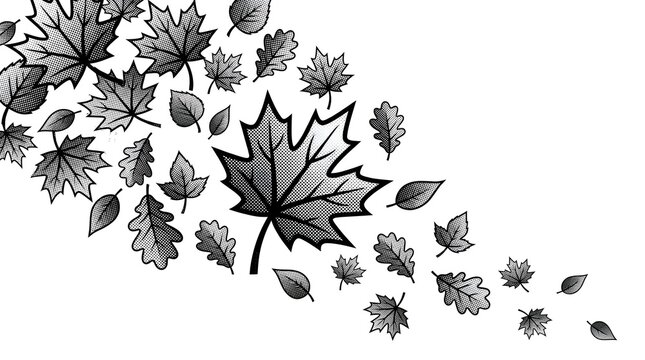 Leaves fall from tree branches in autumn