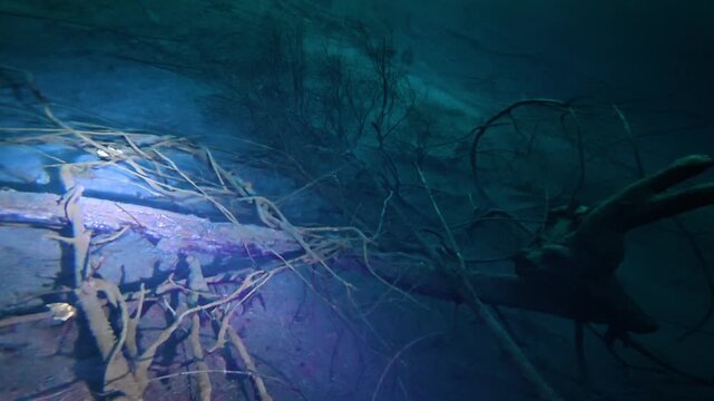 Scuba diver's point of view exploring a mysterious underwater cenote cave with sunbeams