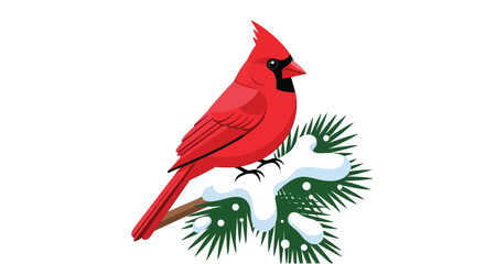Fototapeta premium A vibrant red cardinal perched on a snow covered branch a detailed vector silhouette bird avian feathered plumage redbird songbird winter