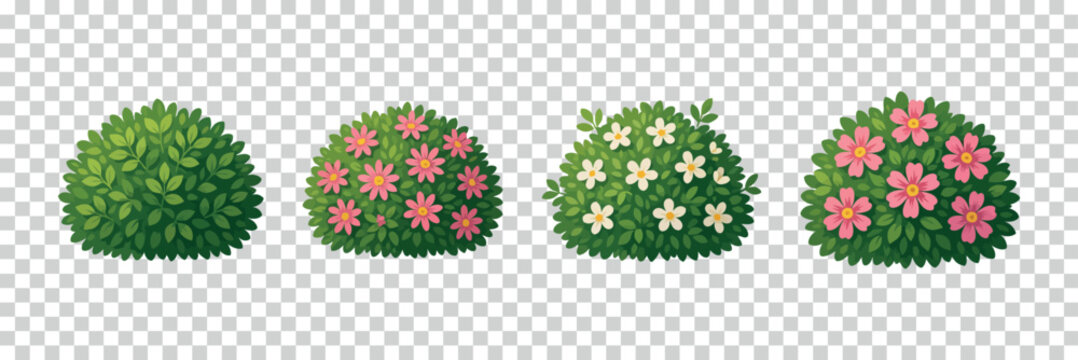Flowering shrub collection with transparent silhouette and varying bloom stages