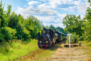 Vintage steam locomotive leads a green passenger train through a lush, sunlit rural landscape under a partly cloudy sky. The track runs through tall grass, flanked by dense green trees. © Oleksandr