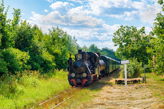 Vintage steam locomotive leads a green passenger train through a lush, sunlit rural landscape under a partly cloudy sky. The track runs through tall grass, flanked by dense green trees.