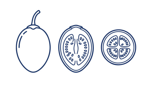 Tamarillo fruit line art icons, exotic tree tomato vector set, whole and sliced tropical fruit illustrations for healthy food branding