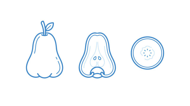 Minimalist blue line icons of rose apple fruit, whole wax apple with half slice and cross section, tropical fruit vector set for healthy food branding