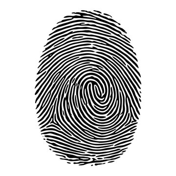 Black and white fingerprint illustration isolated on white background