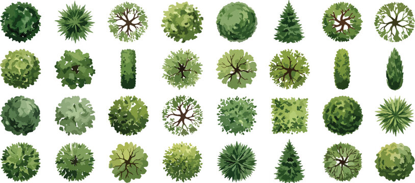 Watercolor tree top view collection, Top-down view tree vector set, diverse green foliage elements for landscape architecture and garden design, aerial plant collection