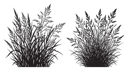 Wild Grasses Silhouette Detailed Black And White Botanical Illustration © MDSHANTO