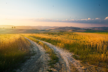 Naklejka premium Dirt road through golden field, rural hills of Tuscany, Italy