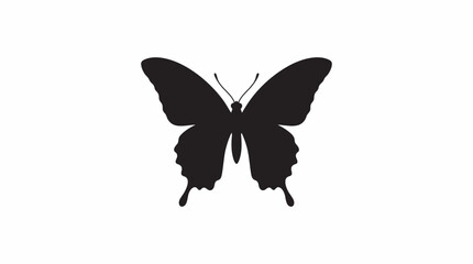 Black butterfly silhouette against a white background silhouette © MDSHANTO