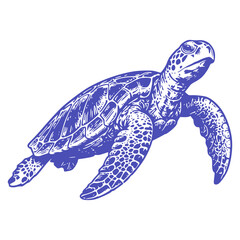 Obraz premium sea turtle vector illustration