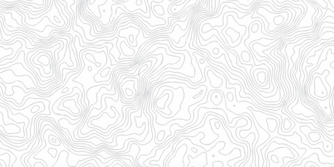 Abstract grid landscape topography white background. white and black relief line wireframe isoline location diagram world map texture design.   © MOHAMMAD