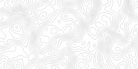 Abstract grid landscape topography white background. white and black relief line wireframe isoline location diagram world map texture design.   © MOHAMMAD