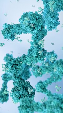 antibodies or immunoglobulin protein or enzyme Molecular structure, Chain of amino acids, biological concept, chemistry and biochemistry, DNA proteins, hydroxyproline, closeups formation, 3d render