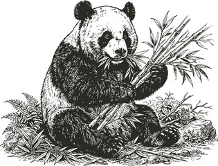 Giant panda eating bamboo leaves while hanging upside down in a lush green forest during daylight with a black and white graphic style © Ishtiaq