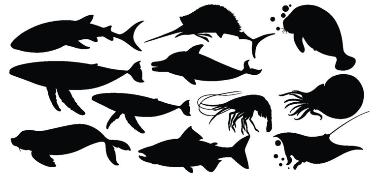 Seafood and Marine Animal Silhouette Collection Vector, Fish and Shrimp Clipart Set