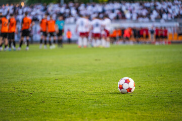 Obraz premium A soccer ball on the green grass field and playersl in the blurred background.