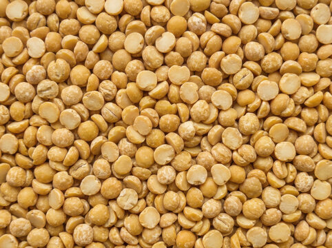 Top view of many dried yellow split peas scattered on a flat surface forming a textured food background pattern isolated on transparent background