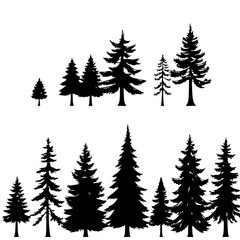 Obraz premium Coniferous trees set with linear arrangement showcasing varying shapes and sizes featuring black and white, minimalist, vector with clean line art and high contrast