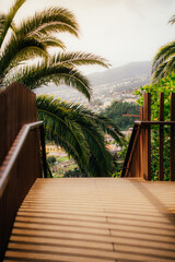 Fototapeta premium Bridge in Botanical Garden Funchal Madeira