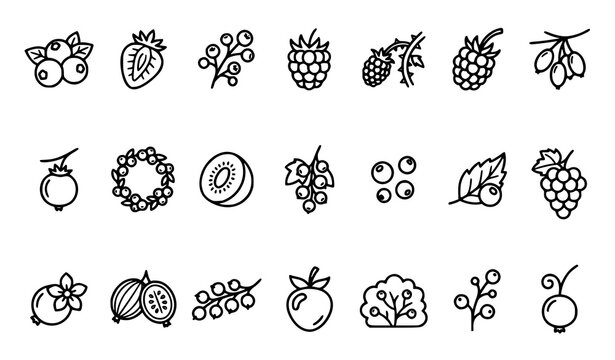 Mixed Fruit and Berry Collection with Fresh Produce Outline Icons and Healthy Food Elements