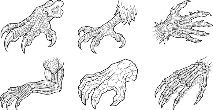 Fantasy monster claws and hands vector line art illustration set featuring dragon skeleton golem and creature talons for coloring page