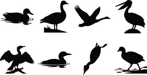 Waterfowl Bird Silhouette Collection Featuring Ducks Geese Pelican Cormorant and Diving Bird Vector Set © MdSaddam