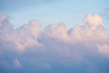 Fototapeta premium Soft Pink and Purple Clouds in epic Pastel Evening Sky