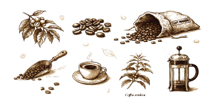 Set of hand drawn coffee elements with beans leaves cup sack and french press coffee maker